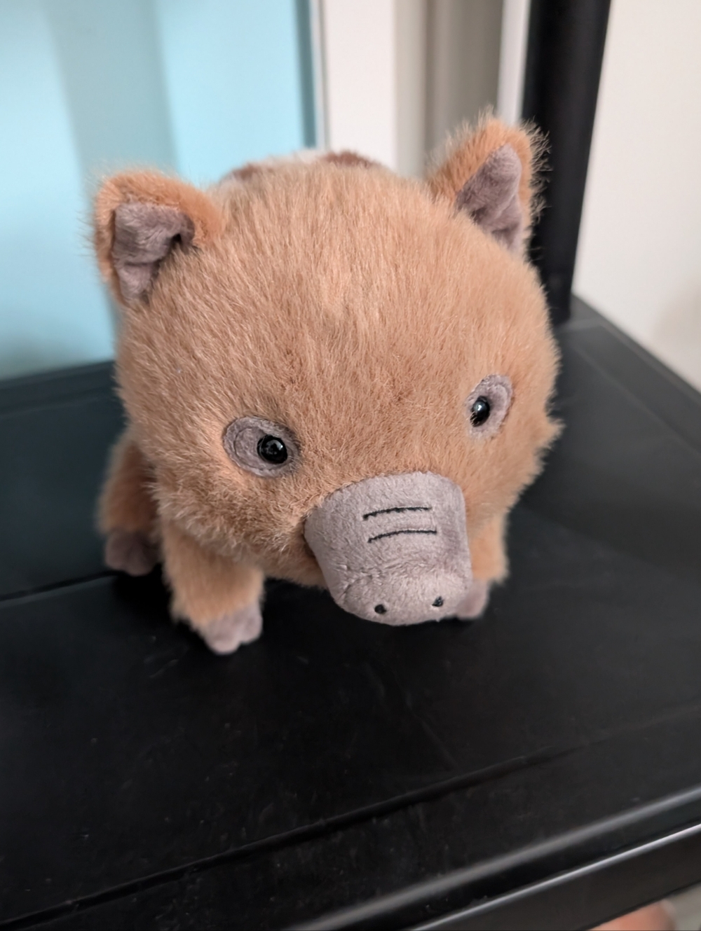 Swinley Boar Jellycat